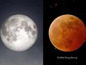 Eclipse lunar poderá ser visto a partir das 3h da madrugada desta terça