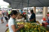 Arapiraca: feira livre municipal acontecerá nesta terça (22)