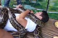 Zoo nas Filipinas oferece massagem com cobras de até 90 quilos