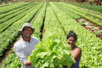 Arapiraca realiza Dia da Agricultura Familiar nesta sexta (13)