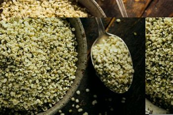 Dieta: benefícios das sementes de maconha