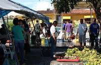 Feira Camponesa Itinerante comercializa alimentos sem venenos