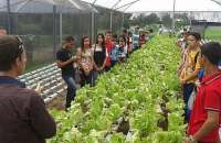 Estudantes estiveram no Instituto Federal de Satuba, onde conheceram horta que utiliza sistema de cultivo de plantas na água; estrutura será montada em Lagoa da Canoa