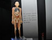 Mostra Human Bodies fica em Maceió pelo prazo de um mês