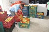 Agricultores começam a entregar alimentos para o PAA municipal