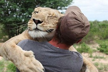 Amizade entre homem e felino será relatada em documentário 'Lionheart'