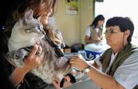 Mercado de pet shops tem faturamento estimado em R$ 16 bilhões por ano