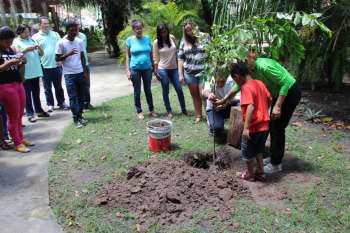 IMA comemora Dia da Árvore com plantio e projeto de arborização
