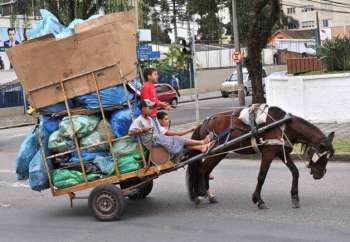 Saindo na frente, Israel se torna o primeiro país a proibir carroças e carruagens com tração animal. 