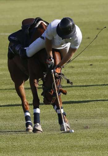 Principe Harry cai do cavalo durante partida de pólo na África do Sul