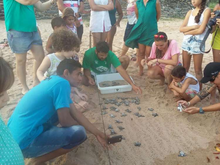 Soltura de tartarugas ocorreu em Ipioca