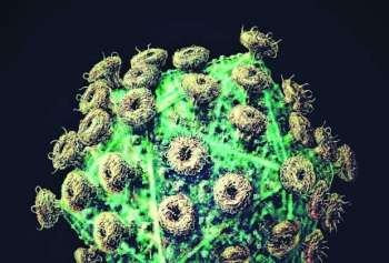 VírusHIV