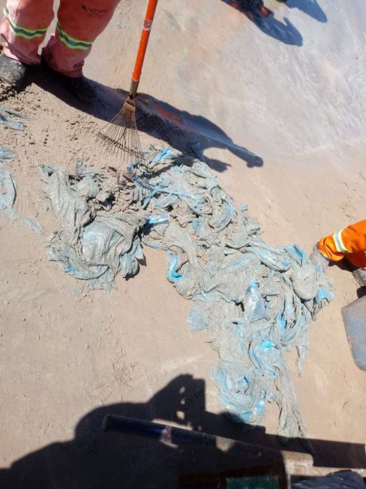 Agentes da Slum iniciaram limpeza da Praia de Ipioca.