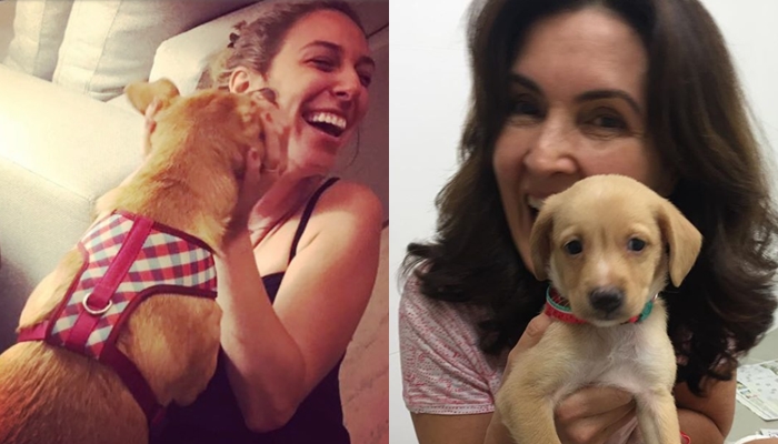 Natasha Dantas agora está “amiga” da cachorra de Fátima Bernardes