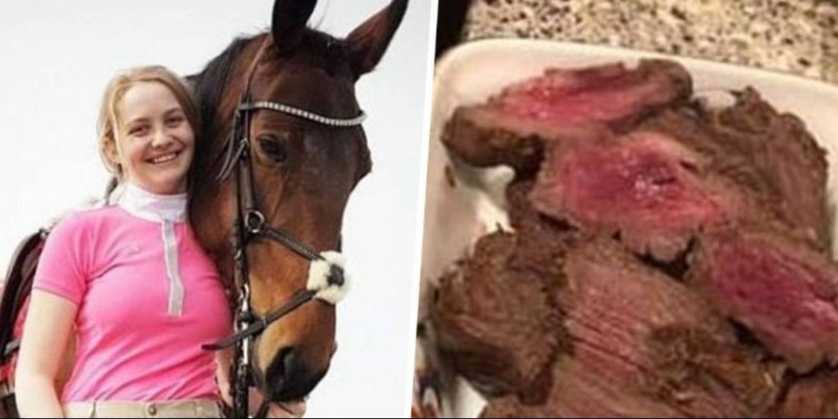 homem mata cavalo para comer